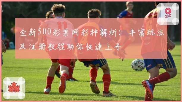 全新500彩票网彩种解析：丰富玩法及注册教程助你快速上手