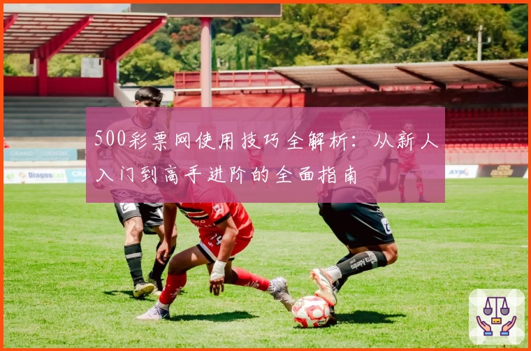 500彩票网使用技巧全解析：从新人入门到高手进阶的全面指南