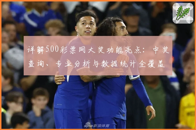 详解500彩票网大奖功能亮点：中奖查询、专业分析与数据统计全覆盖